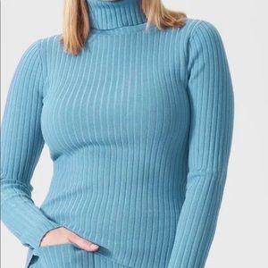 Diane Turtleneck from Universal Standard NWT